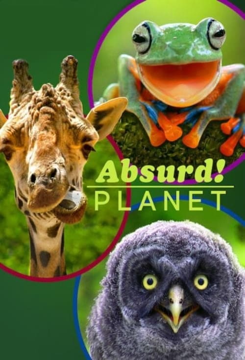 Absurd Planet : 1.Sezon 4.Bölüm