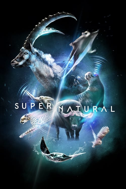 Super/Natural : 1.Sezon 3.Bölüm