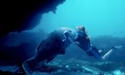 Blueback (2022)