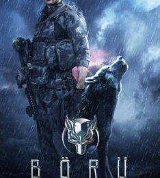 Börü